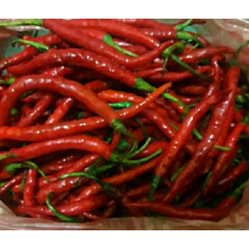 

cabai kriting merah segar 1kg