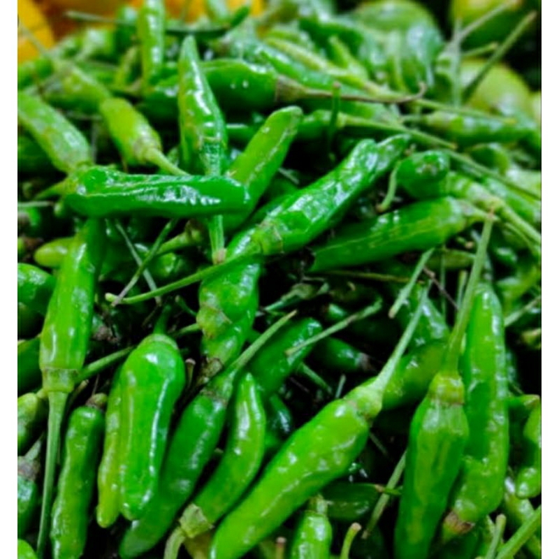 

cabai hijau kecil segar 1kg