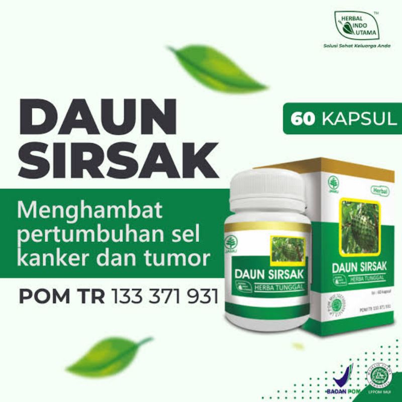 

Hiu Dain Sirsak, Anti Kanker Dan Anti Oksidan,60 Kapsul Original