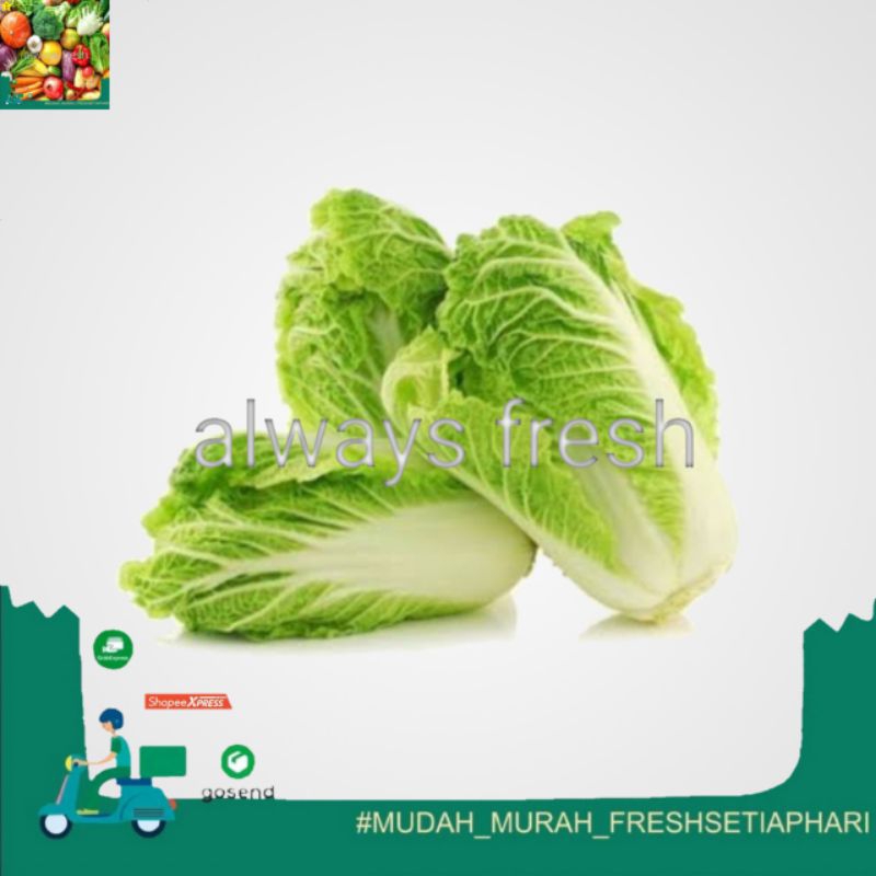 

- always fresh palembang