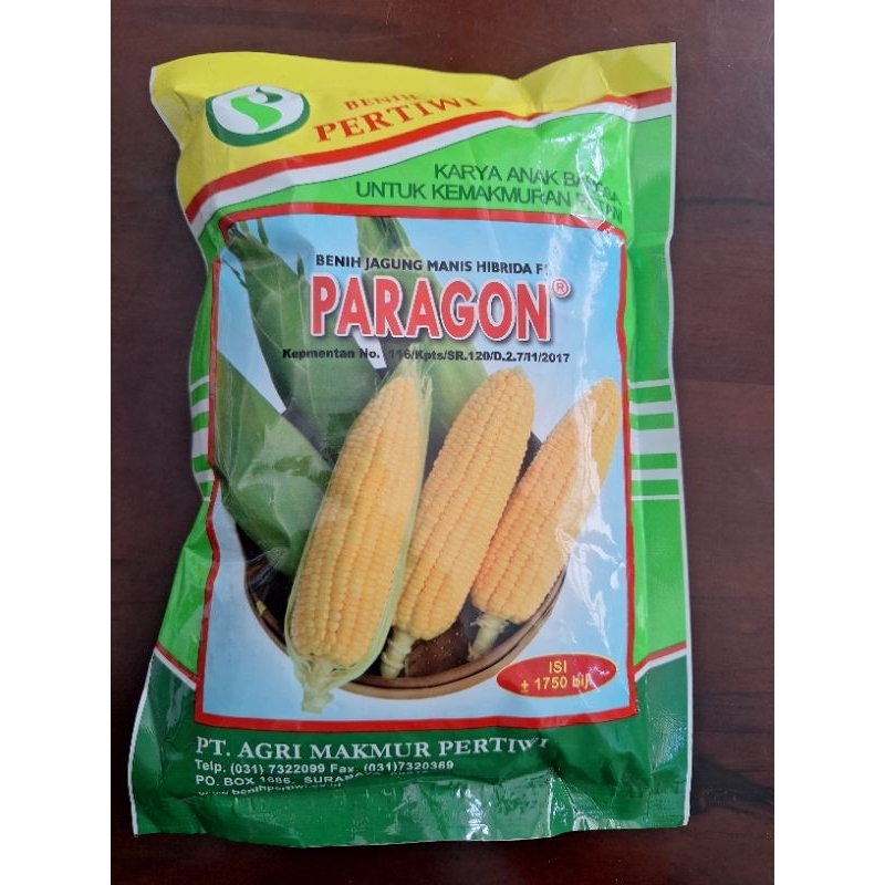 Bibit Jagung manis Paragon 1750 butir