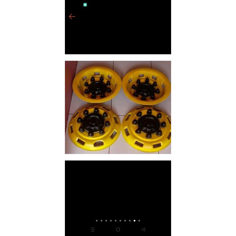 wildop uk canter dina