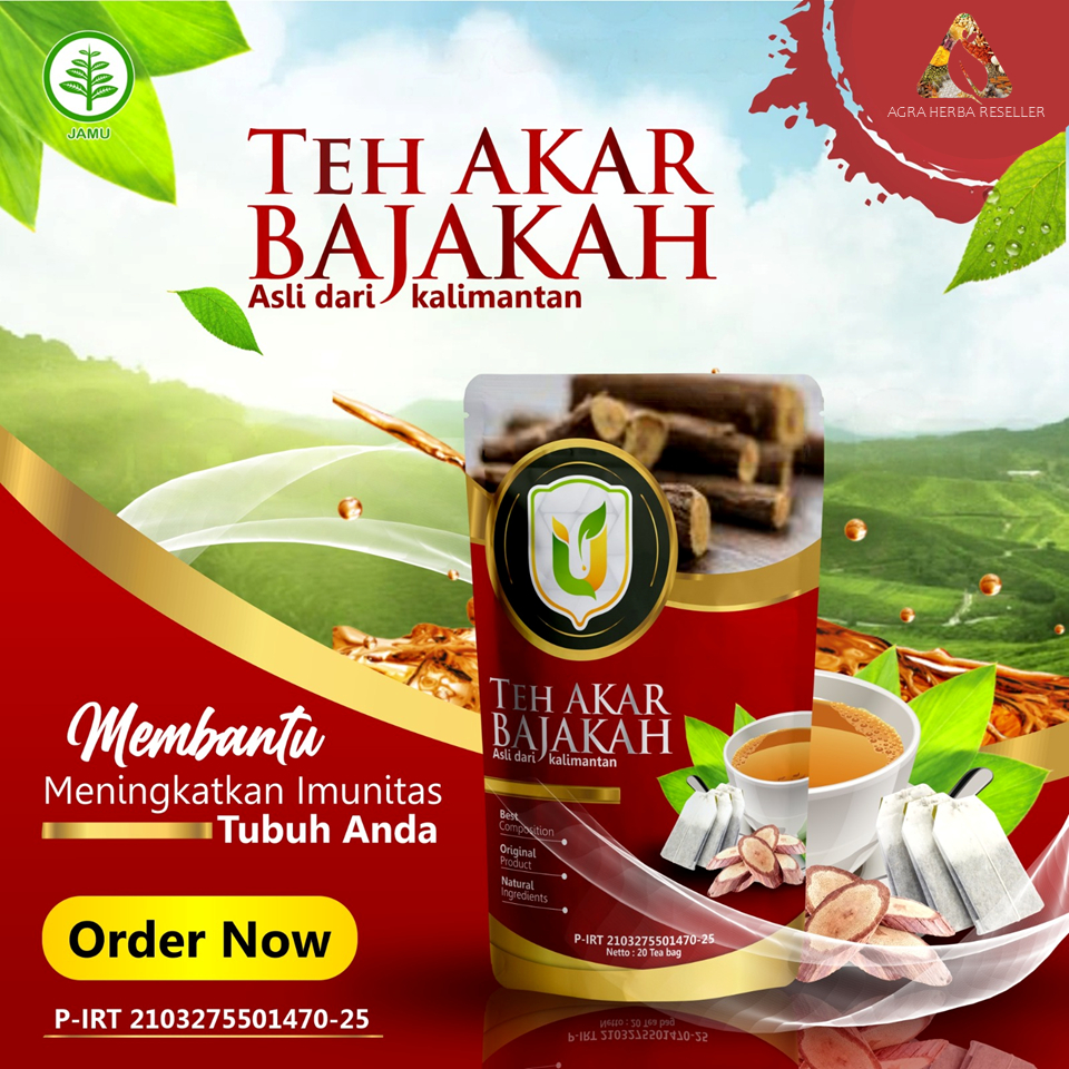 

Teh Akar Bajakah 20 Kantung Usybah - Solusi Herbal untuk Menjaga Kesehatan