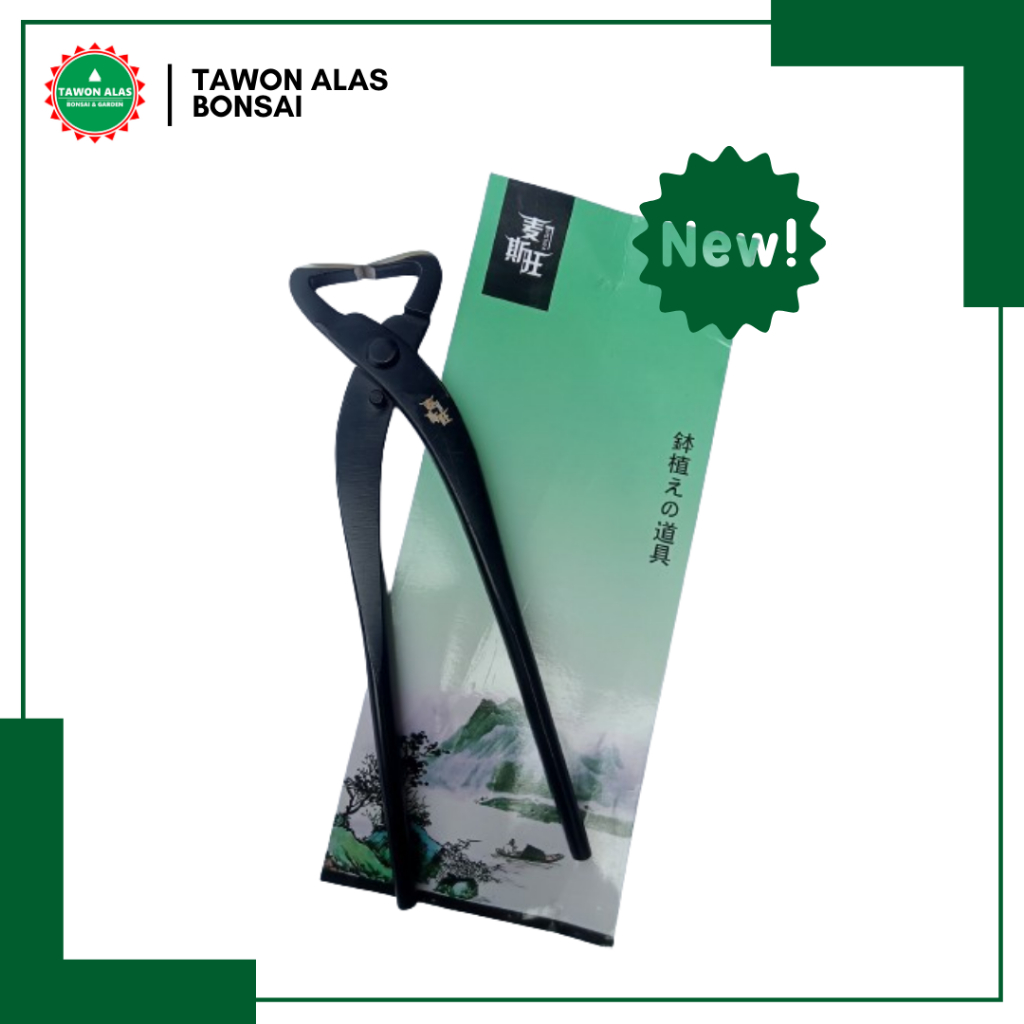 Alat Bonsai, Catok Bonsai, Catut Bonsai Miring