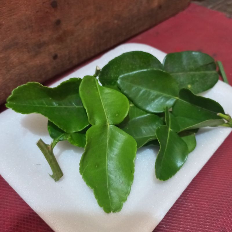 

daun jeruk