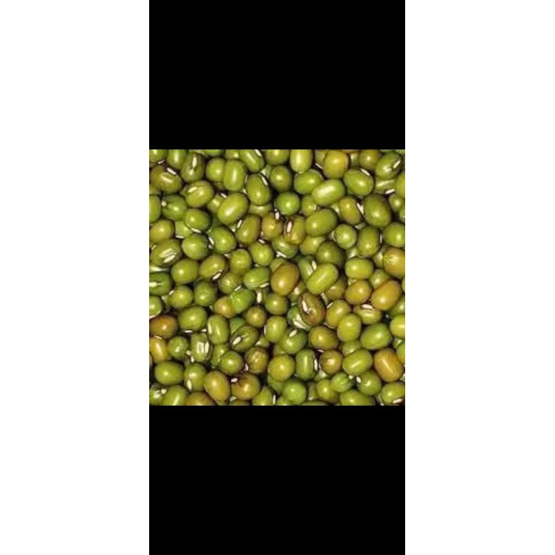 

Kacang Hijau Australia Large Green Mung Beans