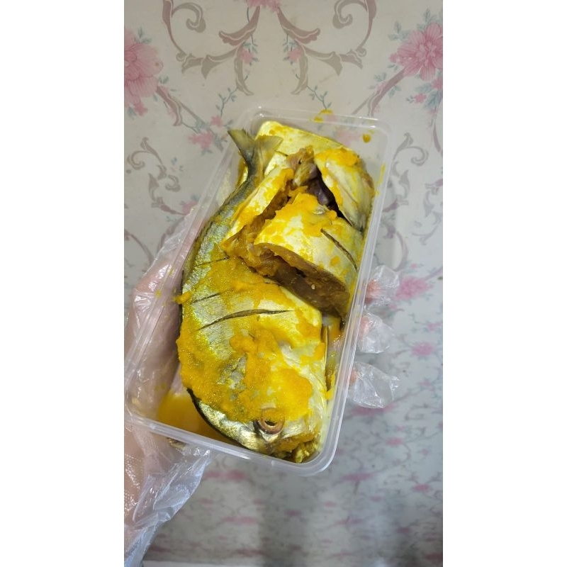 IKAN KUWE MARINASI UNTUK GORENG & BAKAR