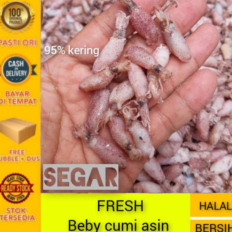 

Splash Cumi beby 5cm 2cm Baby cumi asin 1kg Bahan sambal cumi