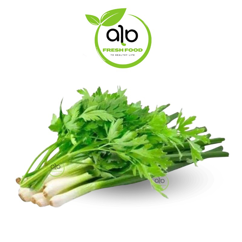 

Daun Bawang dan Seledri Segar daun sop - ALO Fresh Food