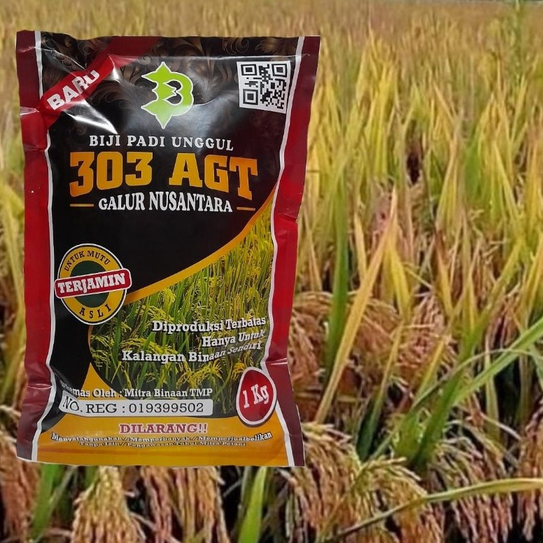 NEW Biji Padi Unggul AGT 33  Padi 33 AGT  Kemasan 1 Kilogram