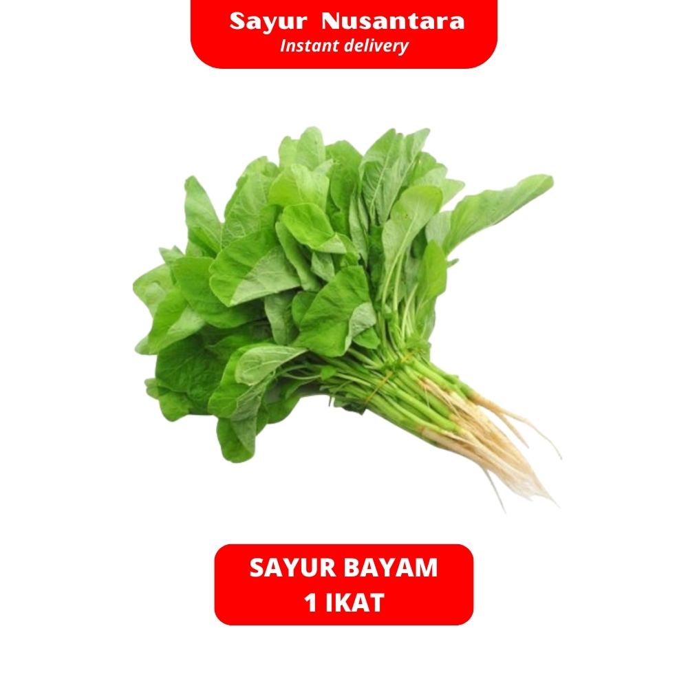 

Sayur Bayam 1 Ikat - Sayur Nusantara