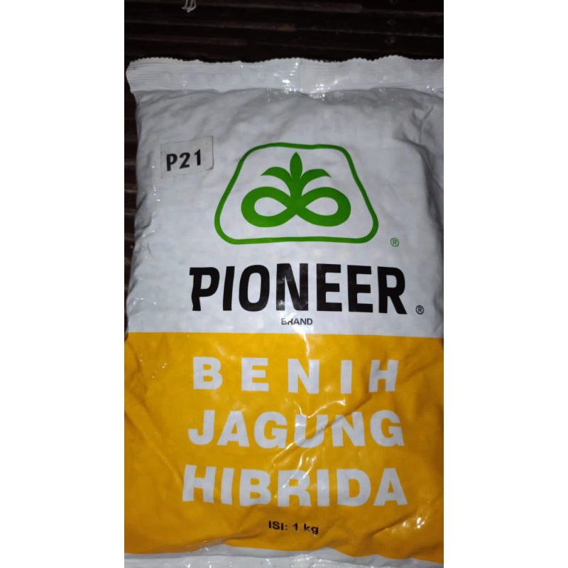 Bibit jagung P21