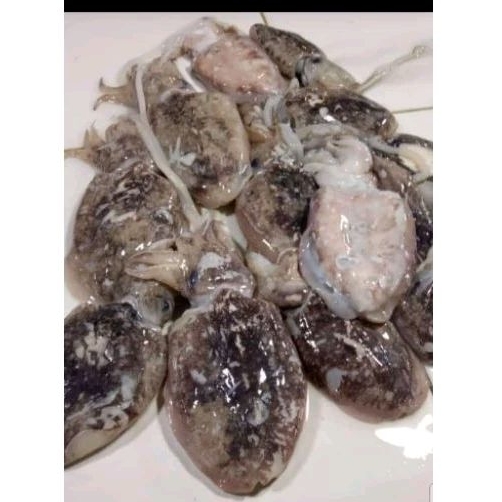 

SOTONG TINTA HITAM 500/gram