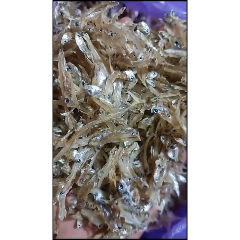 

Promo Teri Tawar 1kg