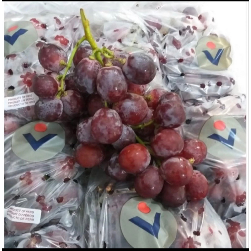 

buah anggur merah fresh import 1 dus 9kg