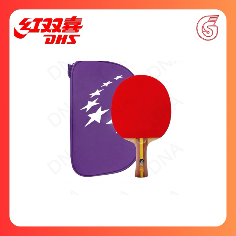 Bet Tenis Meja Ping Pong DHS 2002