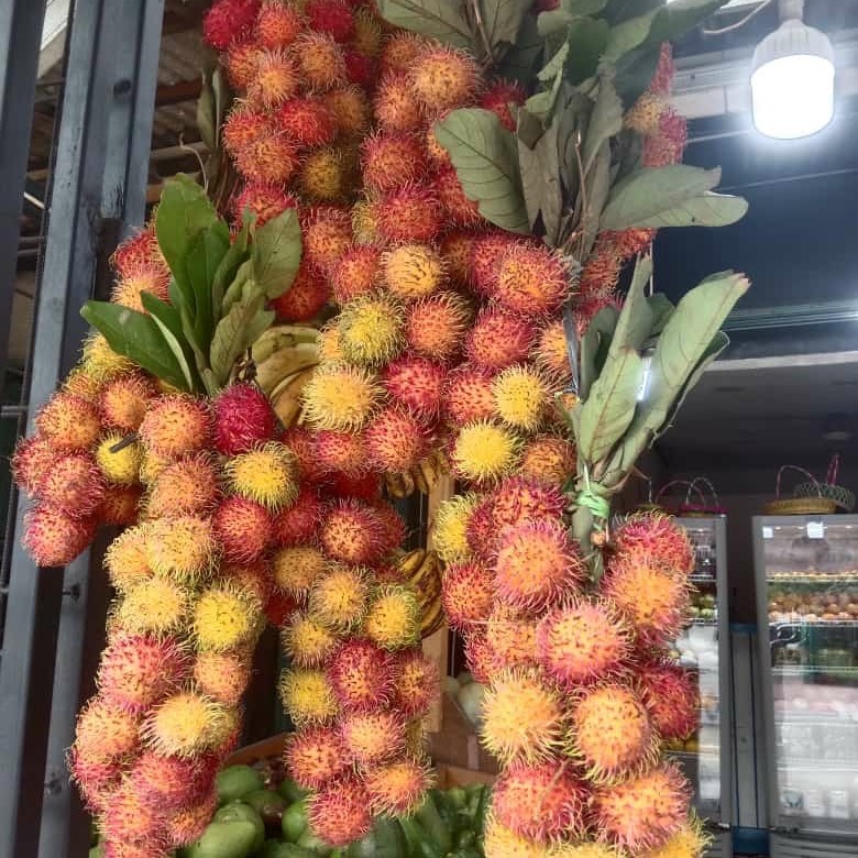 

Rambutan Ace Lebak - 2 Ikat