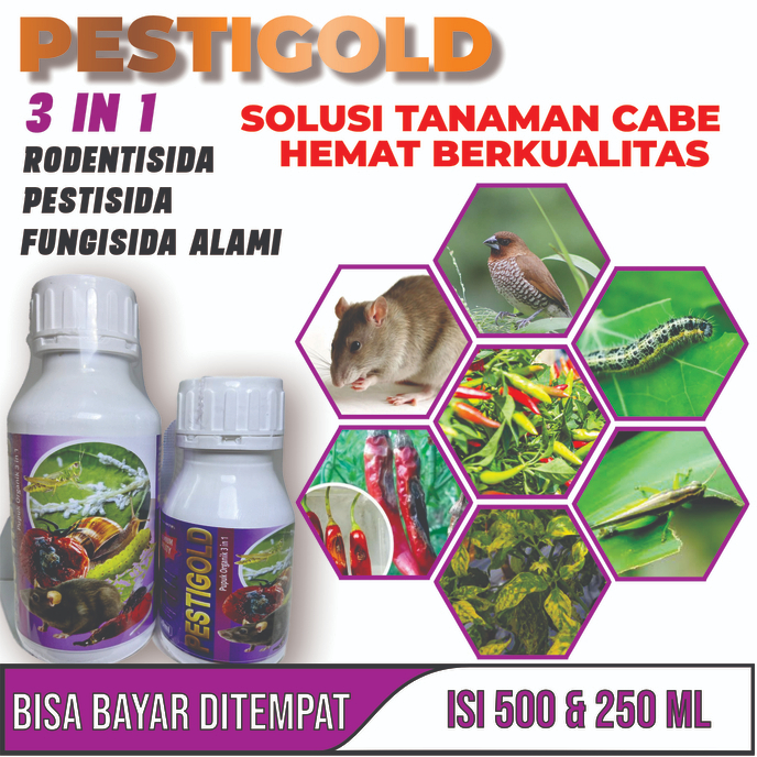 Pupuk Fungisida Pupuk Pestisida Dan Pupuk Rodentisida Obat Untuk Serangan Hama Pada Tanaman Cabe Oba
