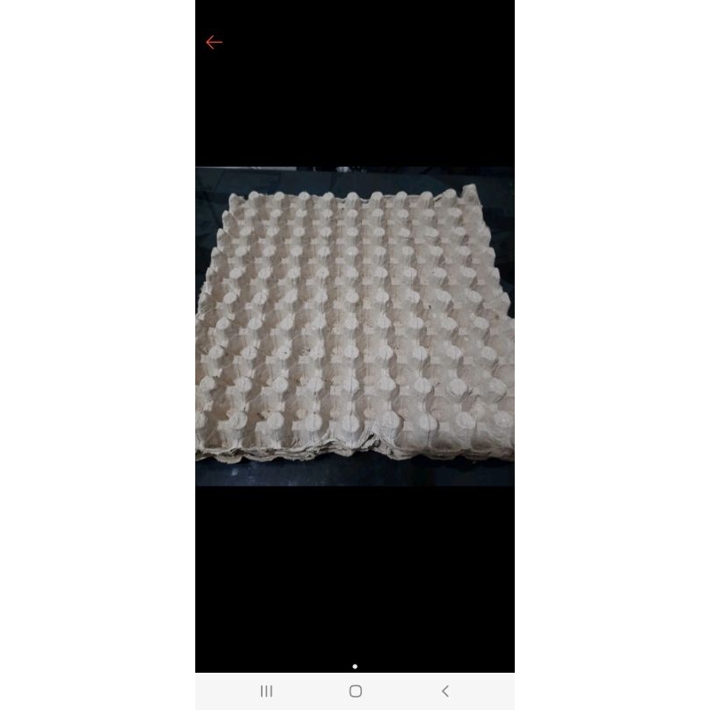 tempat telur karton bekas