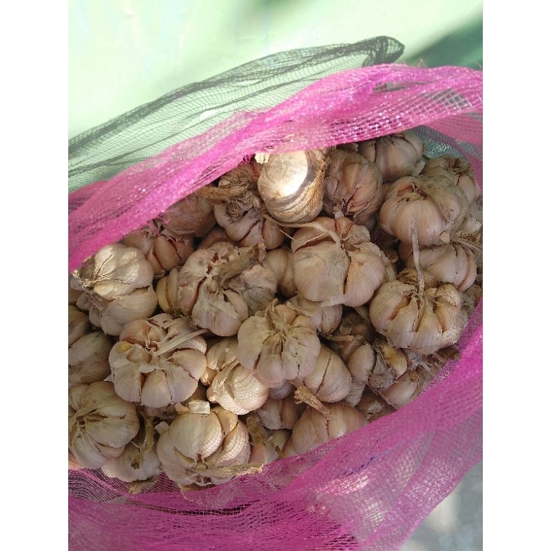 

bawang putih 1kg