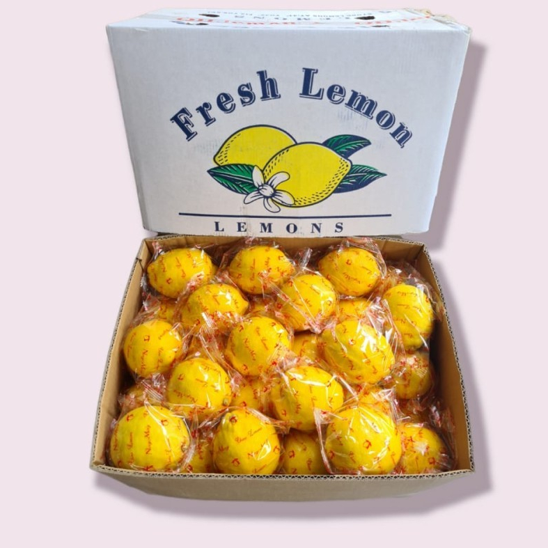 

Lemon Fresh Impor China Per KG