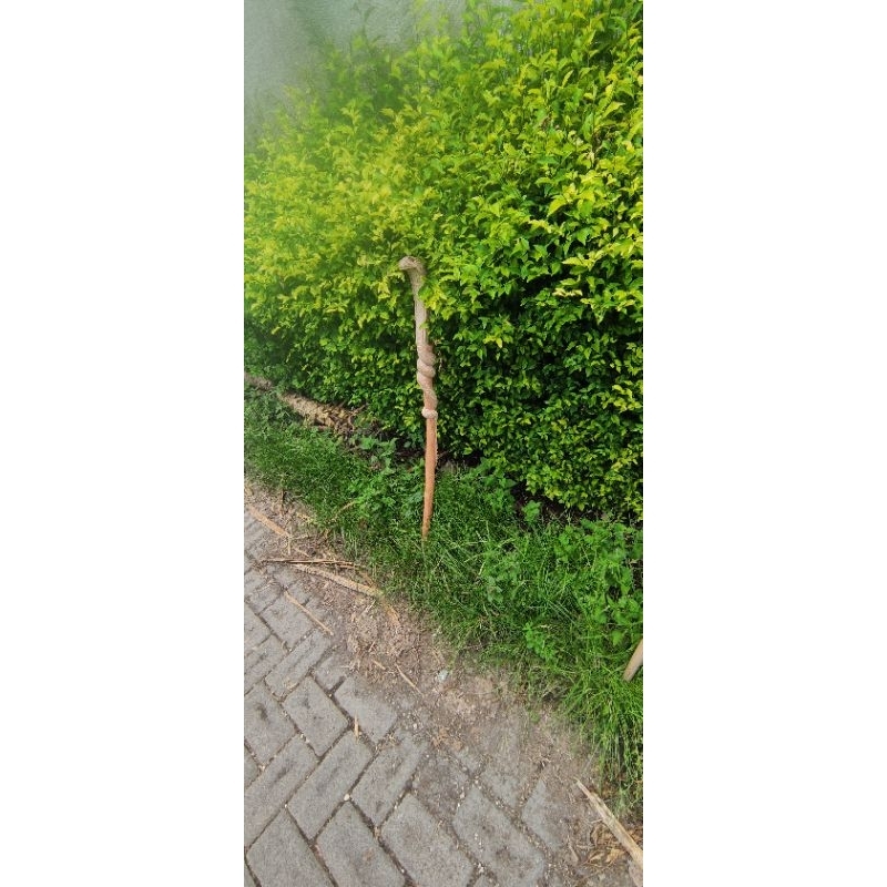 tongkat kayu / tongak ukir / tongkat kaki 1 / tongkat unik