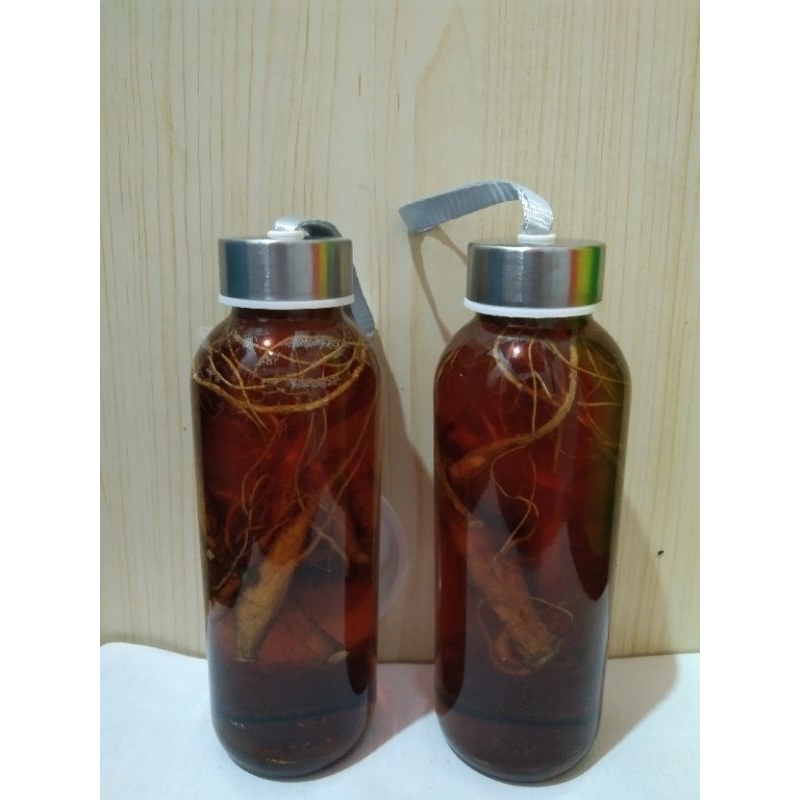 Ginseng merah Madu asli