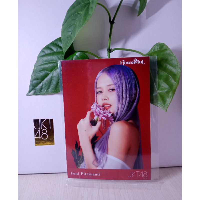 photopack JKT48 flowerfull FENI