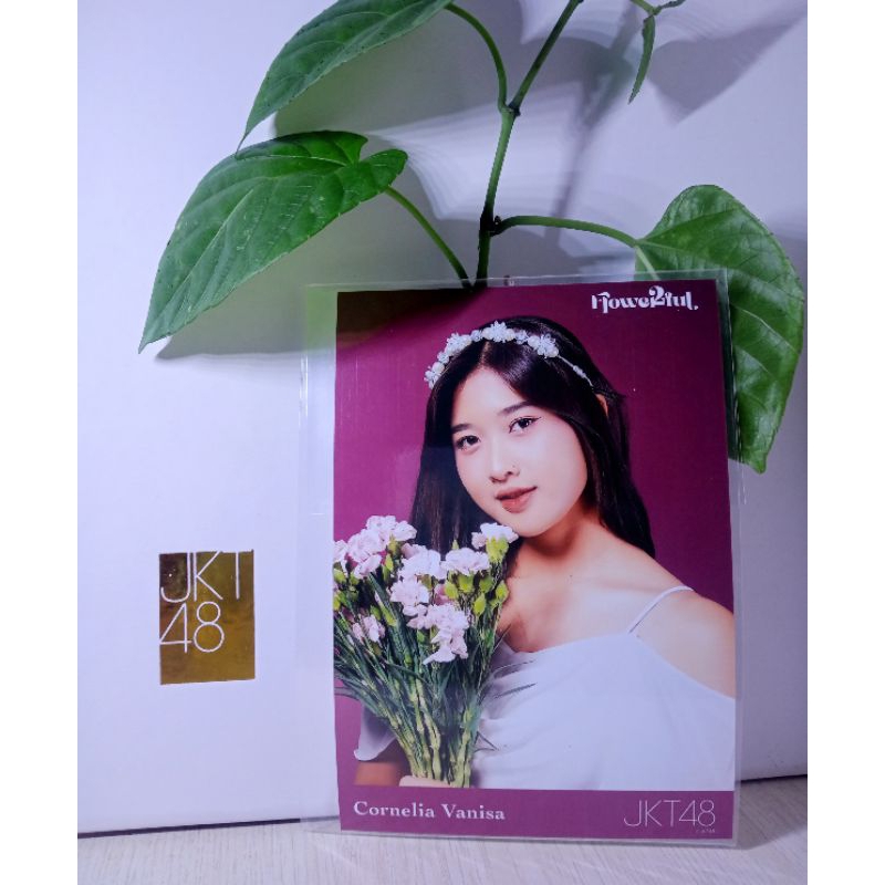 photopack JKT48 flowerfull ONIEL