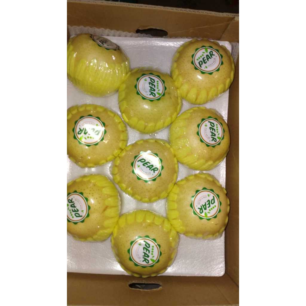 

Pear Korea Golden Isi 18