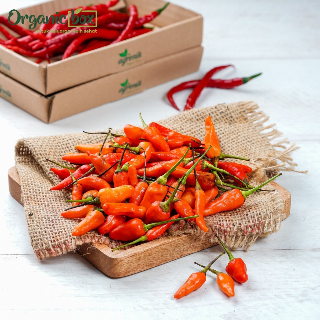 

Cabe Rawit Merah Organik 100gr Quality fresh