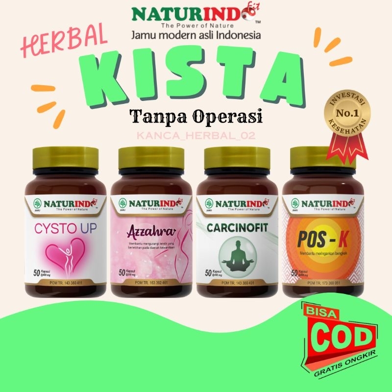 obat kista ovarium obat kista bartholin kista endometriosis kista ganglion obat endometriosis obat m