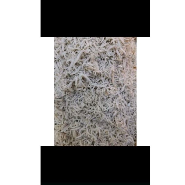 

Tri Medan / tri nasi 250gram