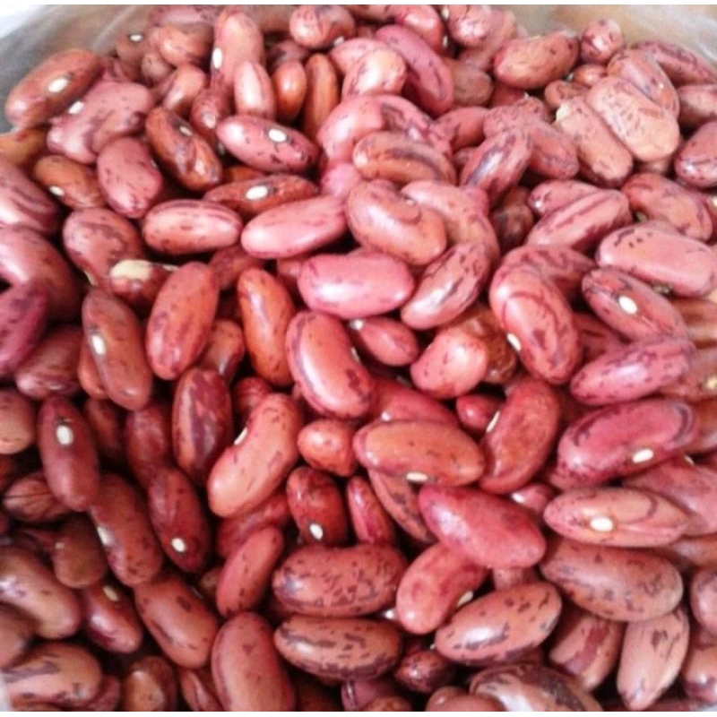 

Kacang merah Wonogiri 250 gram