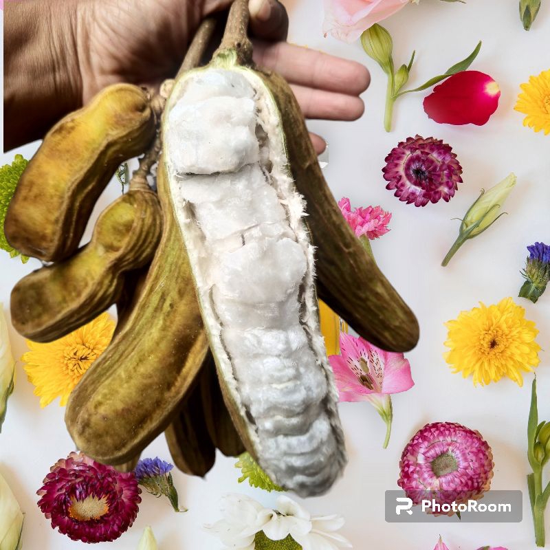 

buah salju premium KHUSUS BESAR SEMUA