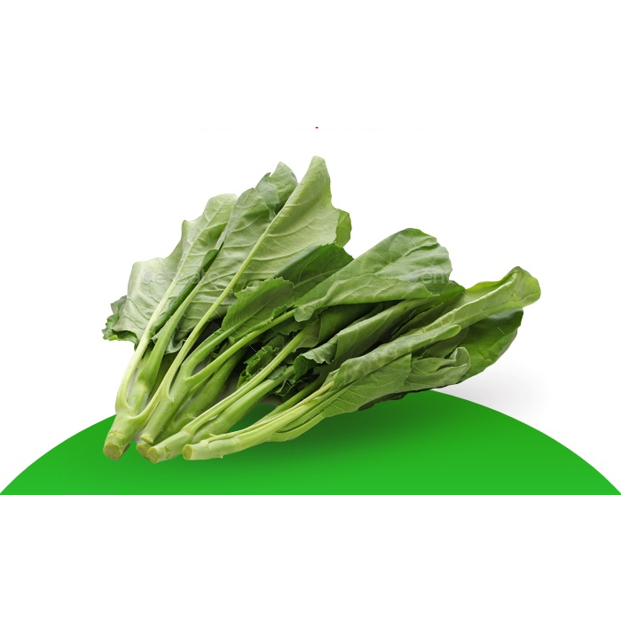 

Kailan 250 gram KIRIM INSTANT