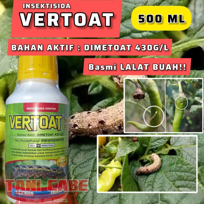 insektisida VERTOAT dimetoat 430 EC HAMA LALAT BUAH -500 ml