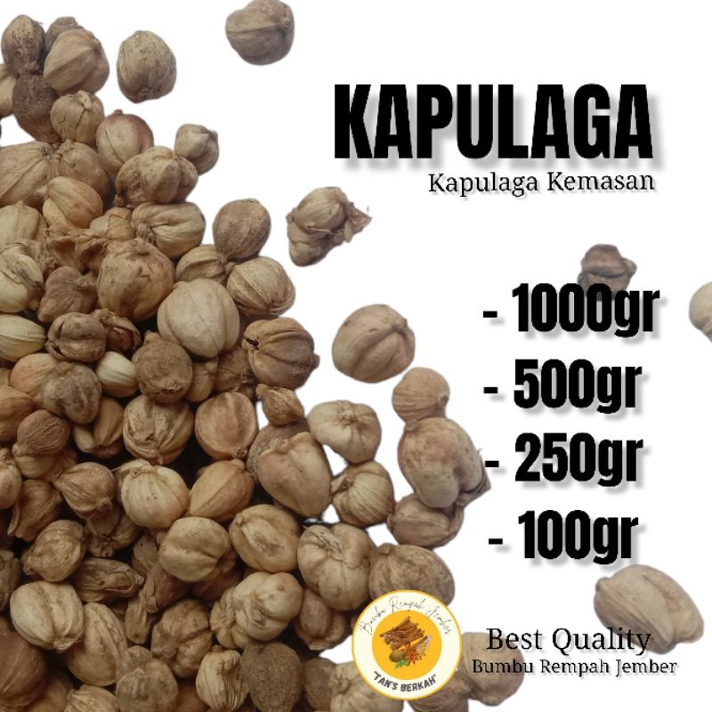 

Kapulaga | Kapulogo Kering Kemasan 100gr dan 50gr