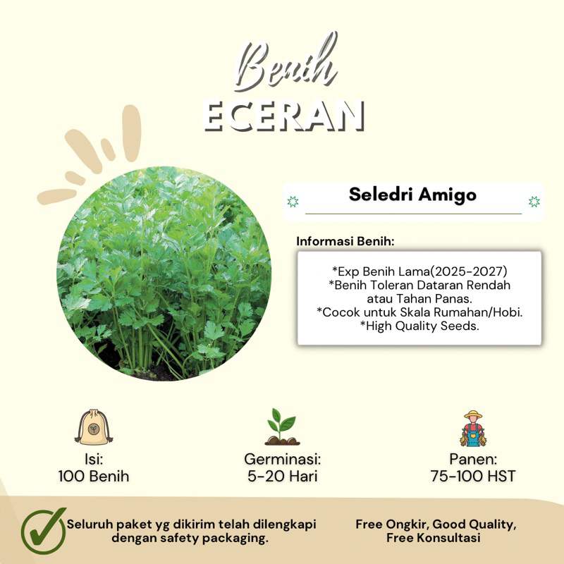 100 Benih Herbs Seledri AMIGO - Daun Sop - Benih Eceran by Gardeningwither