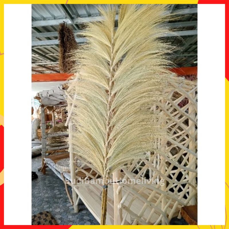 PROMO HOME DECOR BUNGA RAYUNG TANGKAI 21 WARNA BLEACHING/ STIK RAYUNG KERING MURAH WARNA BLEACHING