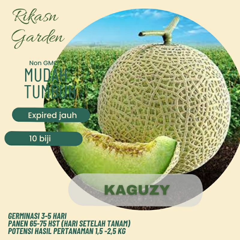 

melon premium Jepang import ed 2025