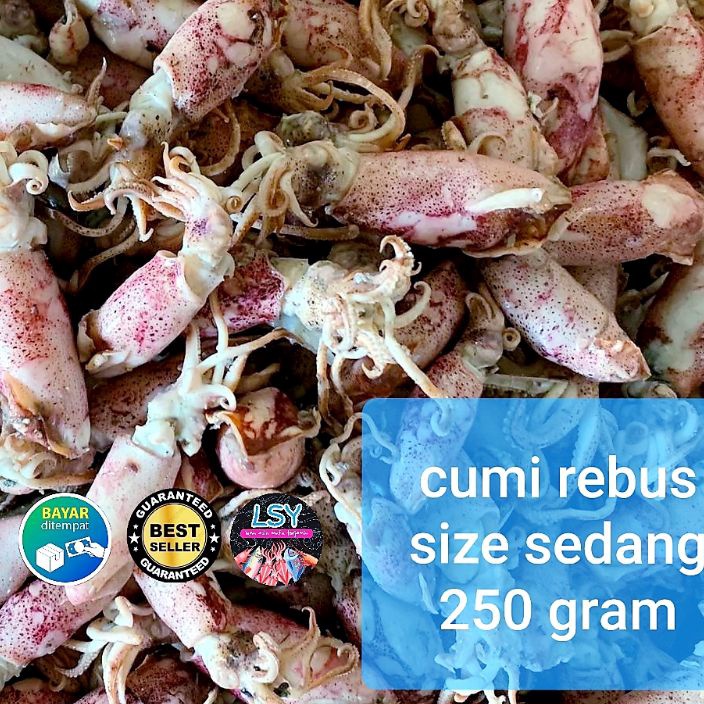 

FSASH SALE ikan asin cumi rebus sotong rebus size sedang 25gram