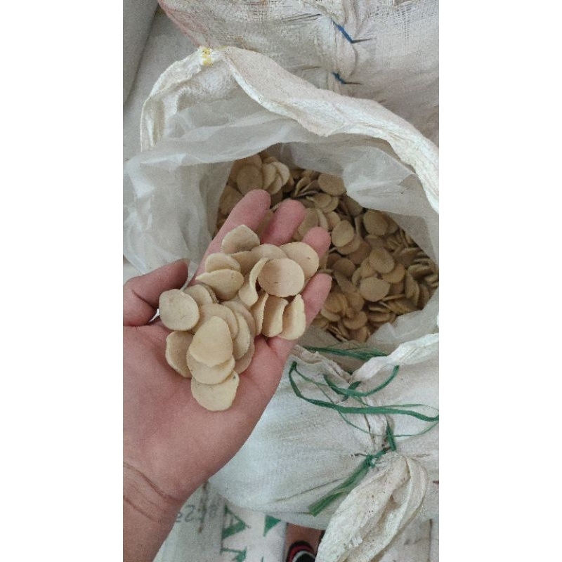 

Pakeet 1 kg KEMPLANG MENTAH "TIPIS" (harga promo RAMADAN)