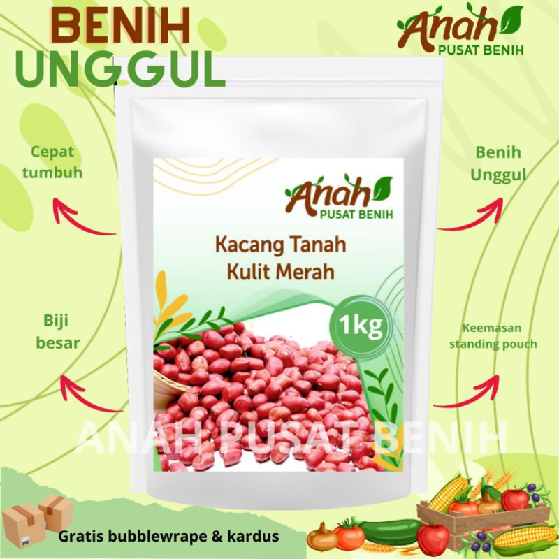 Benih kacang tanah kulit merah 1 kg / Bibit kacang tanah super / kacang tanah