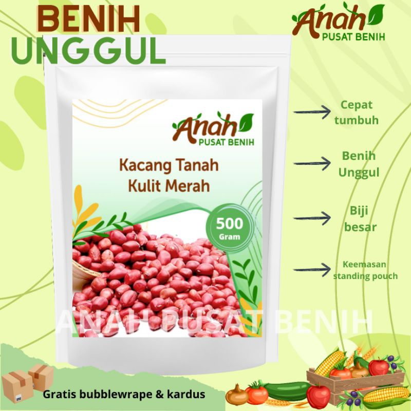 Benih kacang tanah kulit merah 500 gram / Bibit kacang tanah kulit merah / kacang kulit super