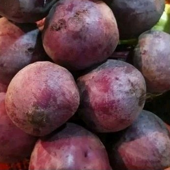 

Buah Bit/kg