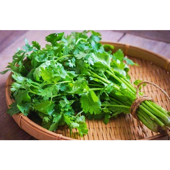 

Daun Seledri Daun Sop 1 ikat Segar - Lapak Pesanan