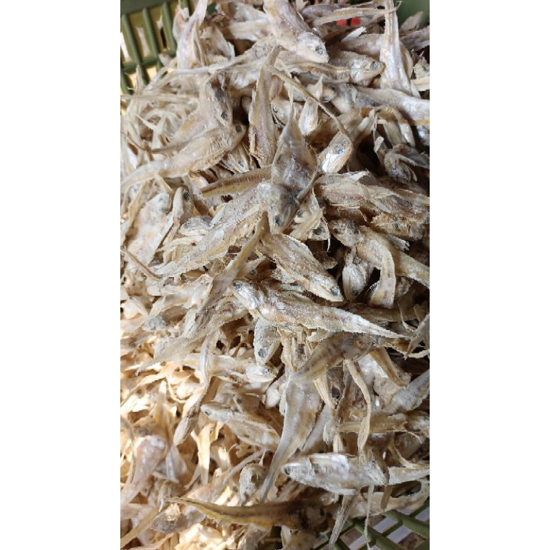 

Ikan Asin / Ikan Asin Bulu Ayam / Ikan Asin Gonjeng