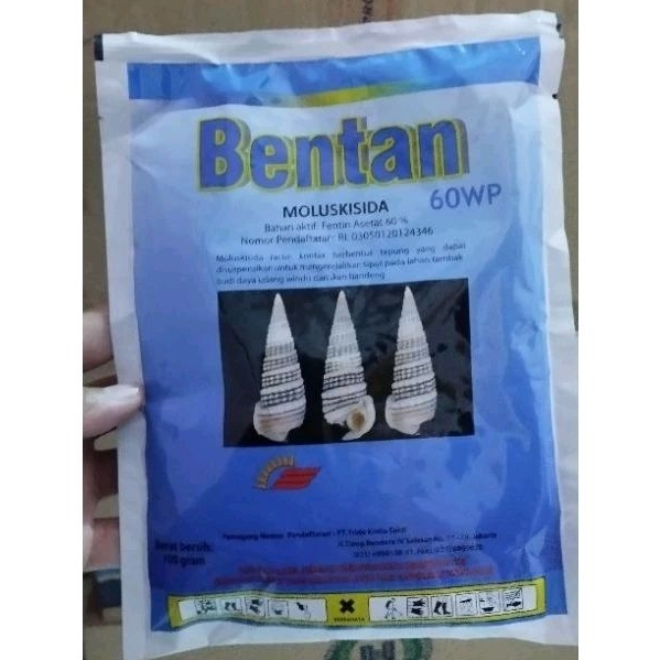 Bentan 60 WP 50 gr obat racun keong siput padi sawah tambak