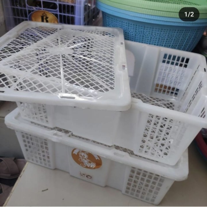 harga untuk 1 PCs ya kak keranjang ex buah kelengkeng fruit packaging plus tutup Ukuran  P -+47cm  L